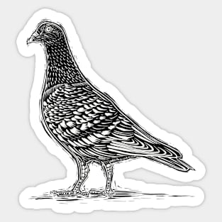 Pigeon Bird Linocut Sticker